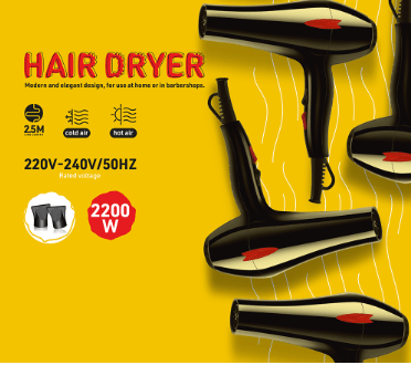 Hair Dryer (1343)